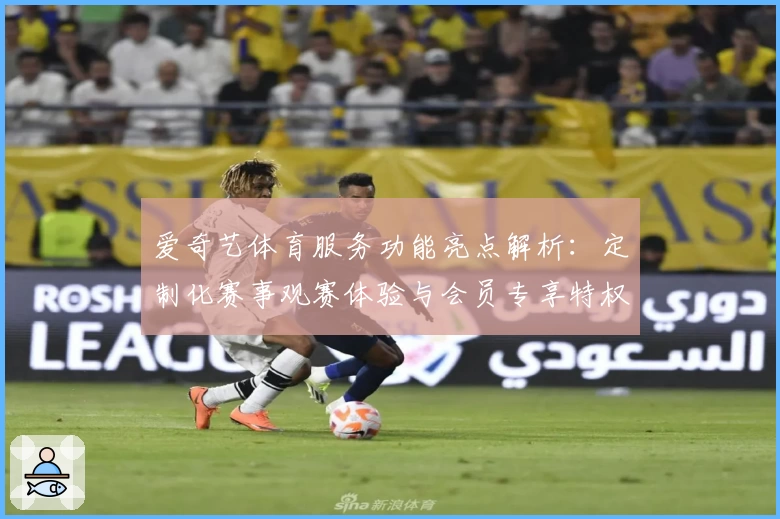 爱奇艺体育服务功能亮点解析：定制化赛事观赛体验与会员专享特权详解