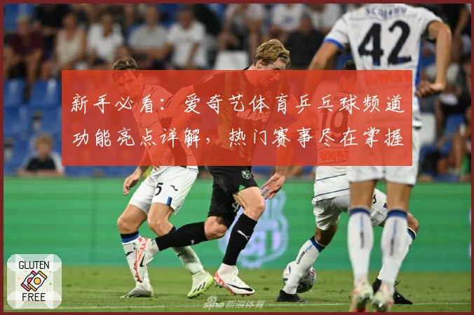 新手必看：爱奇艺体育乒乓球频道功能亮点详解，热门赛事尽在掌握