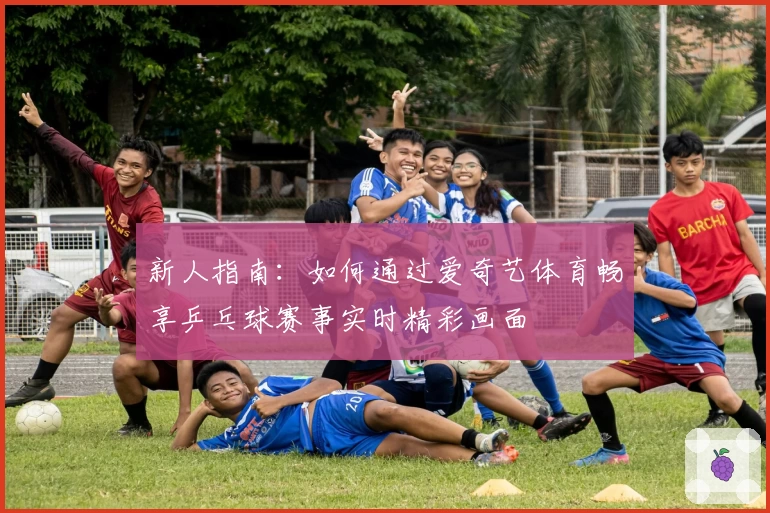 新人指南：如何通过爱奇艺体育畅享乒乓球赛事实时精彩画面